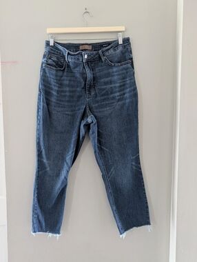 Judy Blue Put A Ring On It Tummy Control Skinny Jeans Size 16W